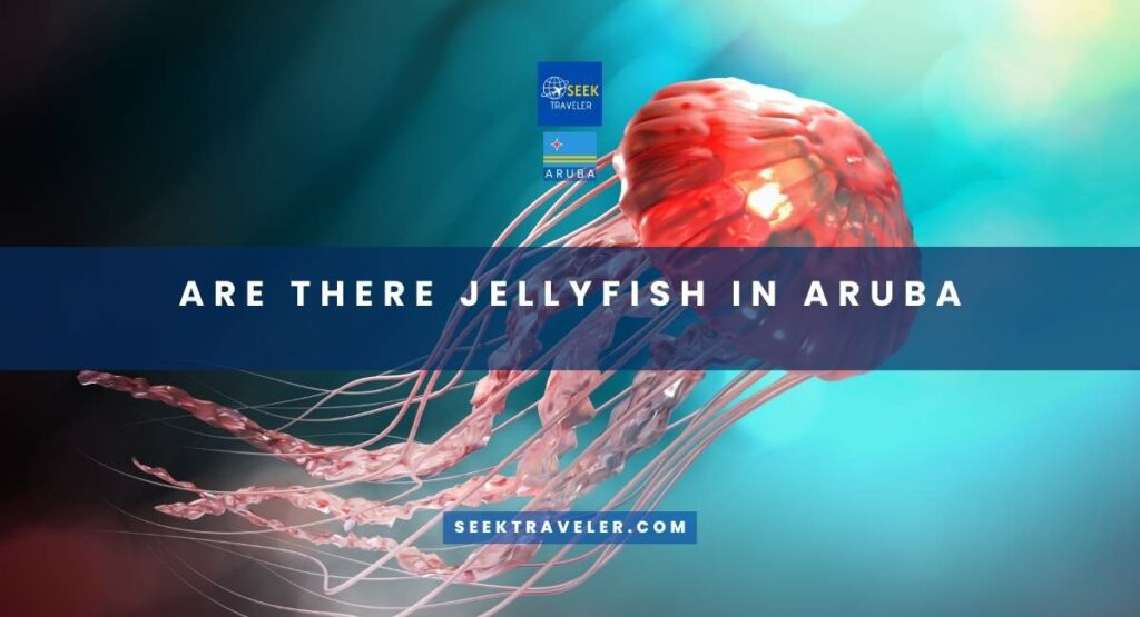 Are There Jellyfish In Aruba