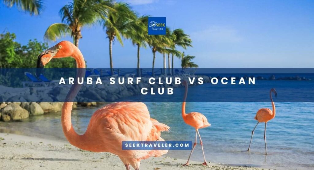 Aruba Surf Club Vs Ocean Club