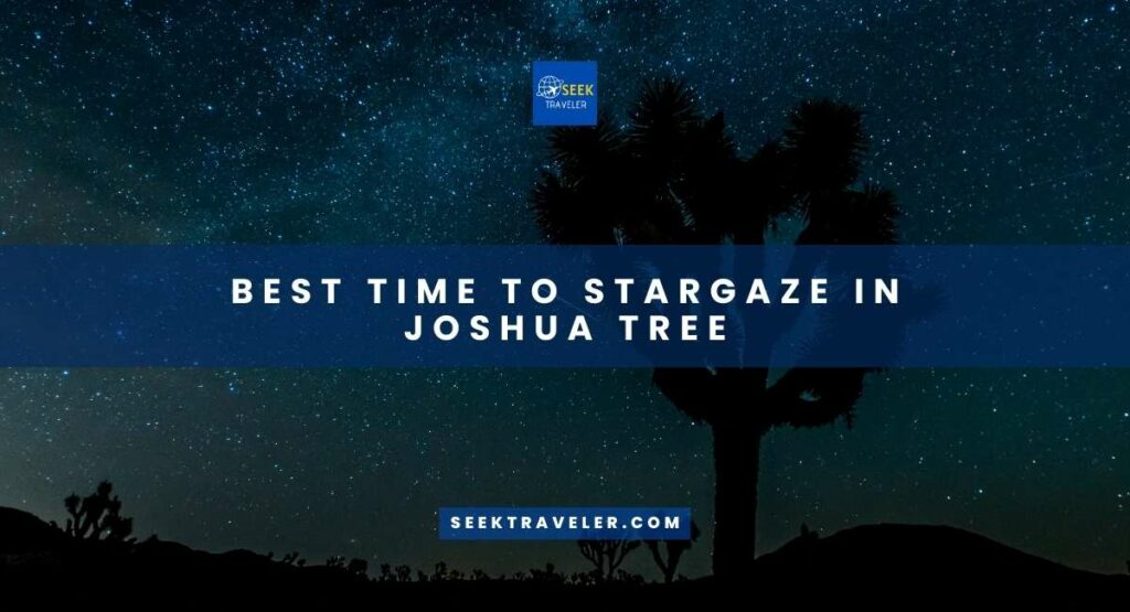 Best Time To Stargaze In Joshua Tree