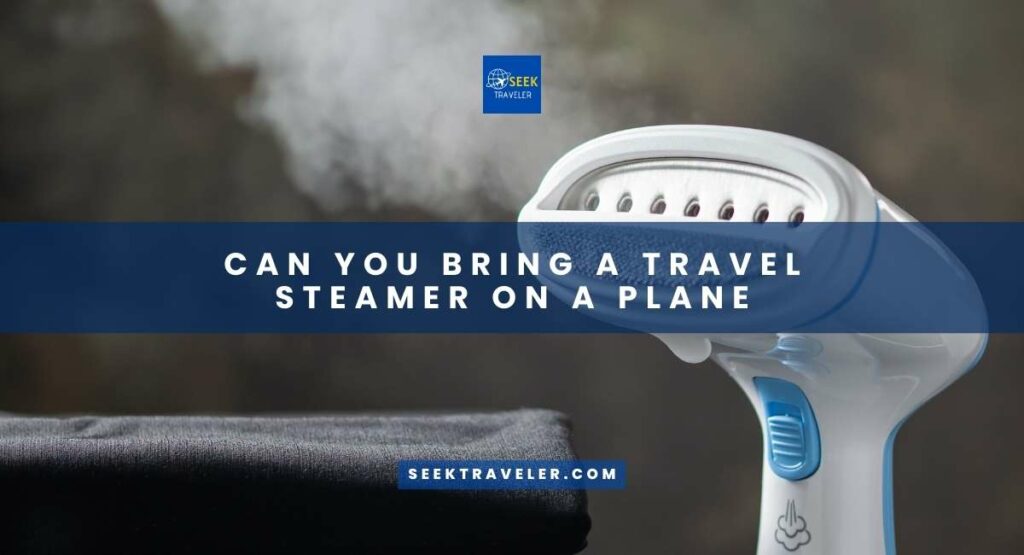 Can You Bring A Travel Steamer On A Plane