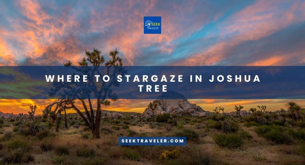 Where To Stargaze In Joshua Tree